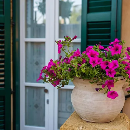 A Casa Di Mammi Nella Valle Dei Templi Apartment